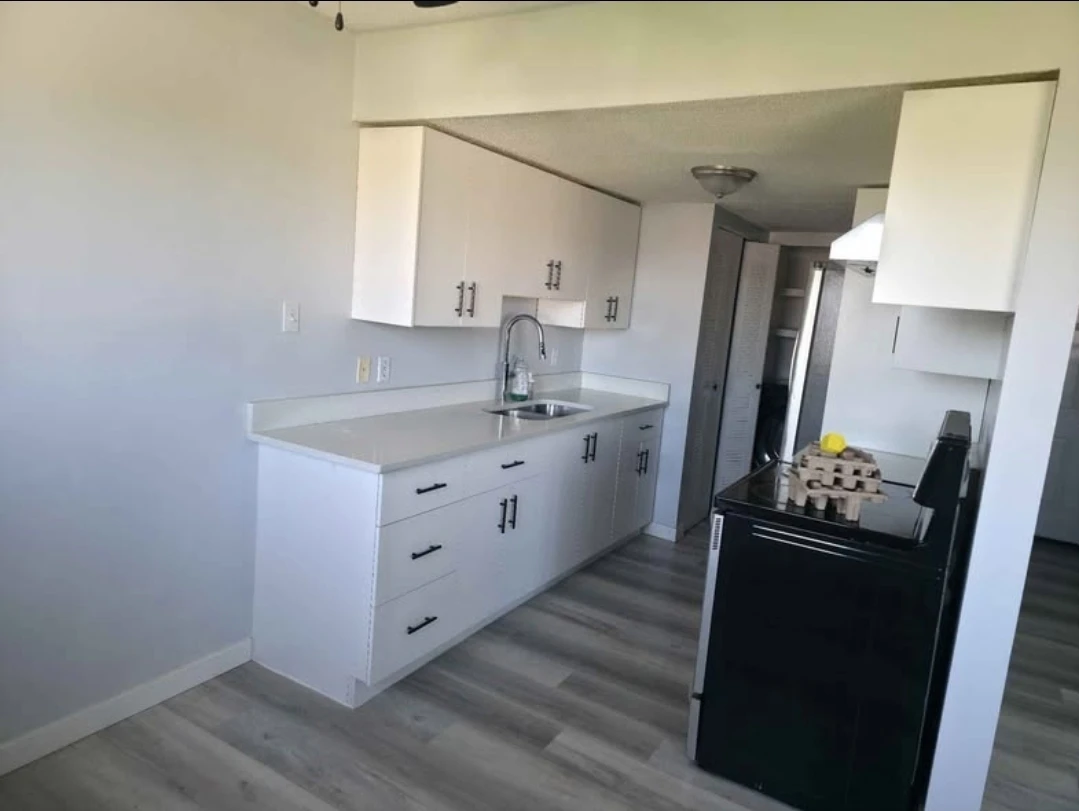 3 bedroom 1 bath for rent -$1400/monthly - photo 3