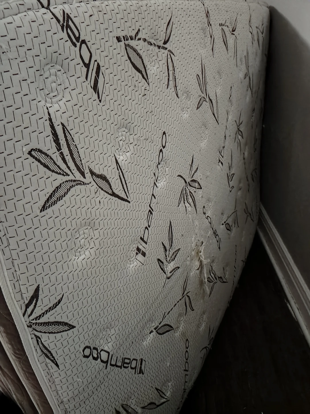 Queen Matress