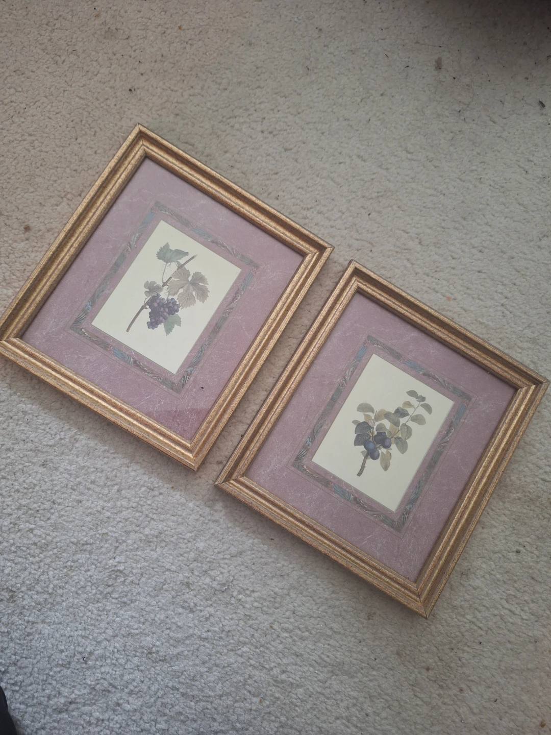 Set of 2 Framed Botanical Prints 🍇 - photo 2
