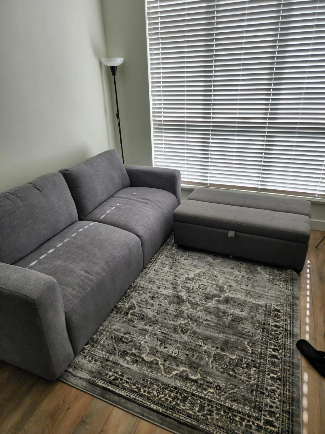 Gray Sofa and ottaman with pullout bed