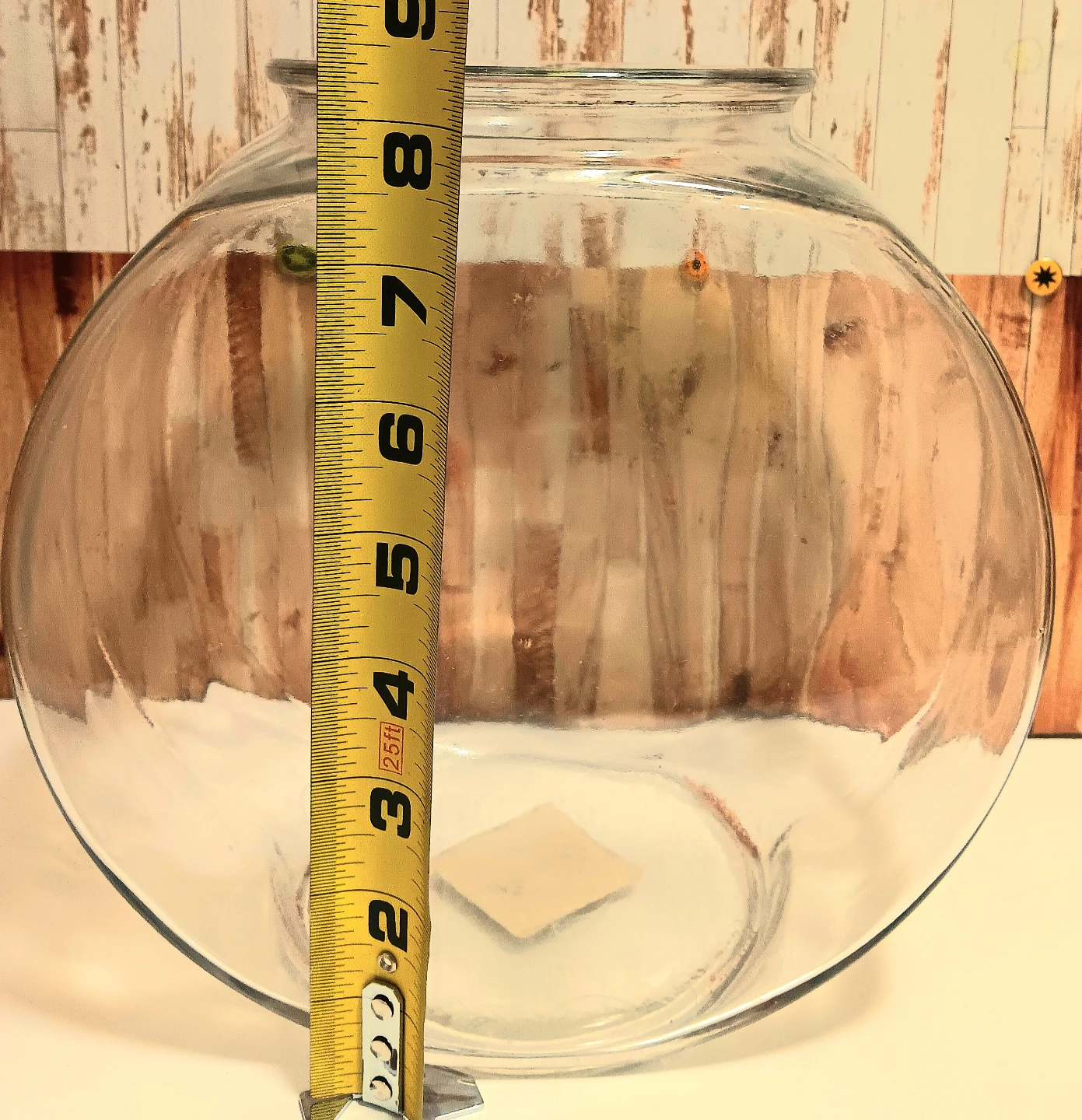 🐡Glass Fish Bowl🐠 - photo 2