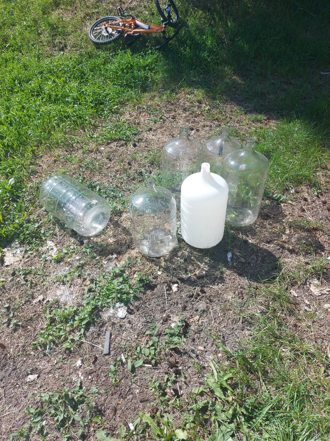 Glass and Plastic Carboys for Sale