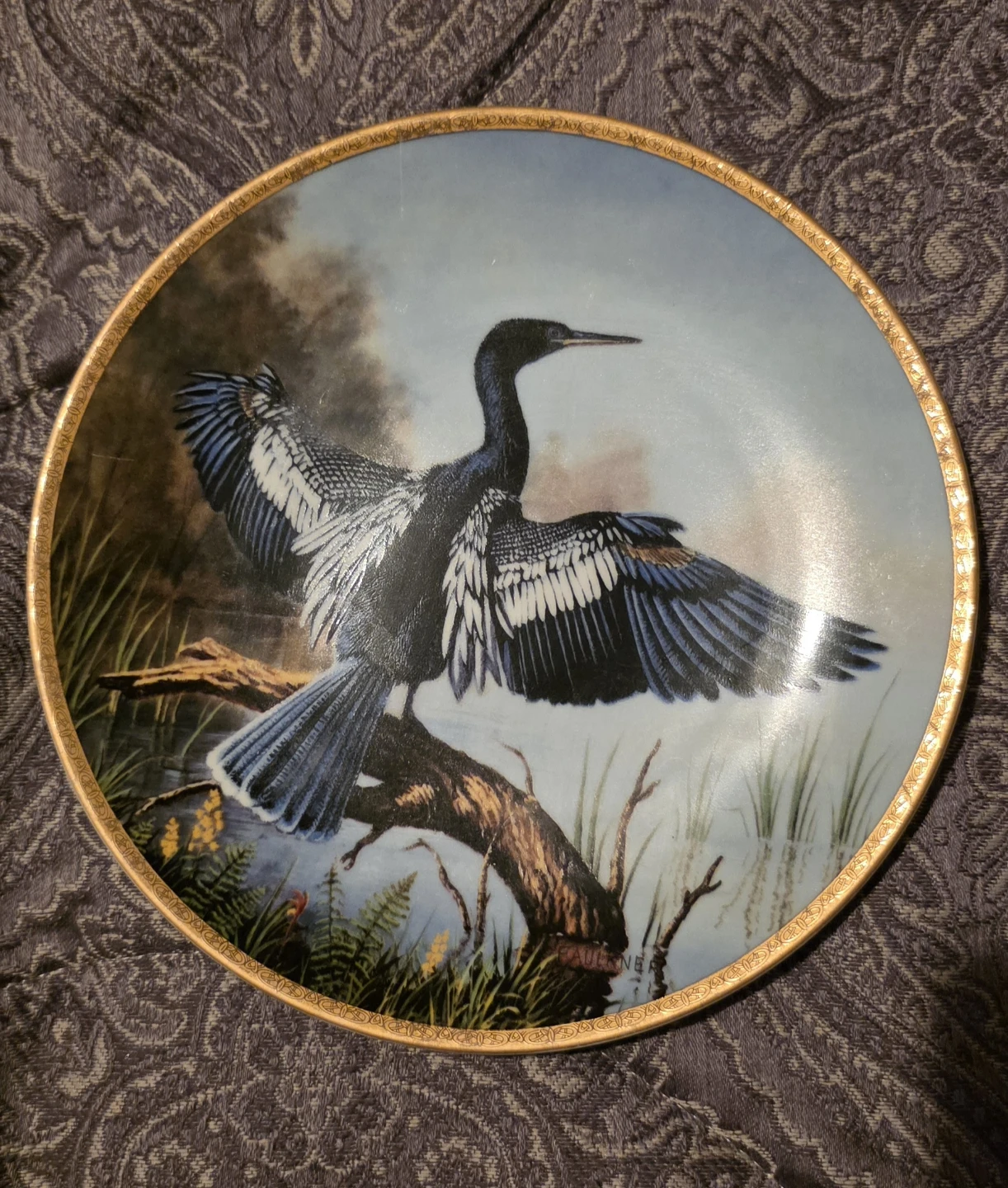 The Anhinga Plate by J. Faulkner