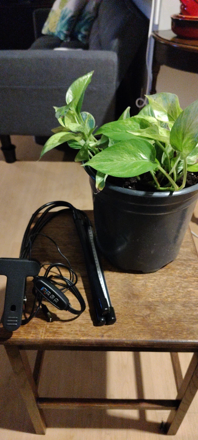 3-Head LED Grow Light - photo 4