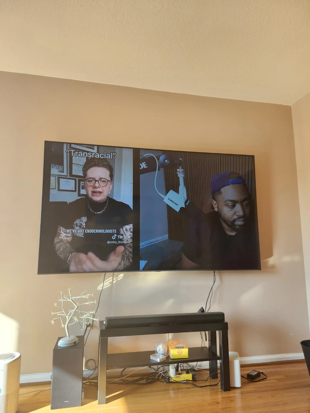 TV Screen Display