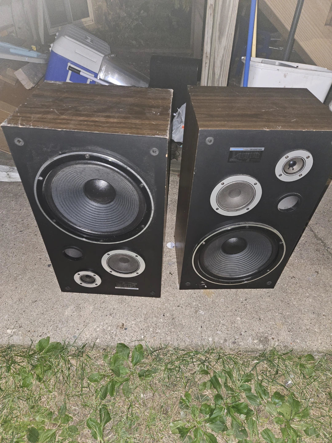 Pioneer Speakers  cs-g301 wa - photo 2