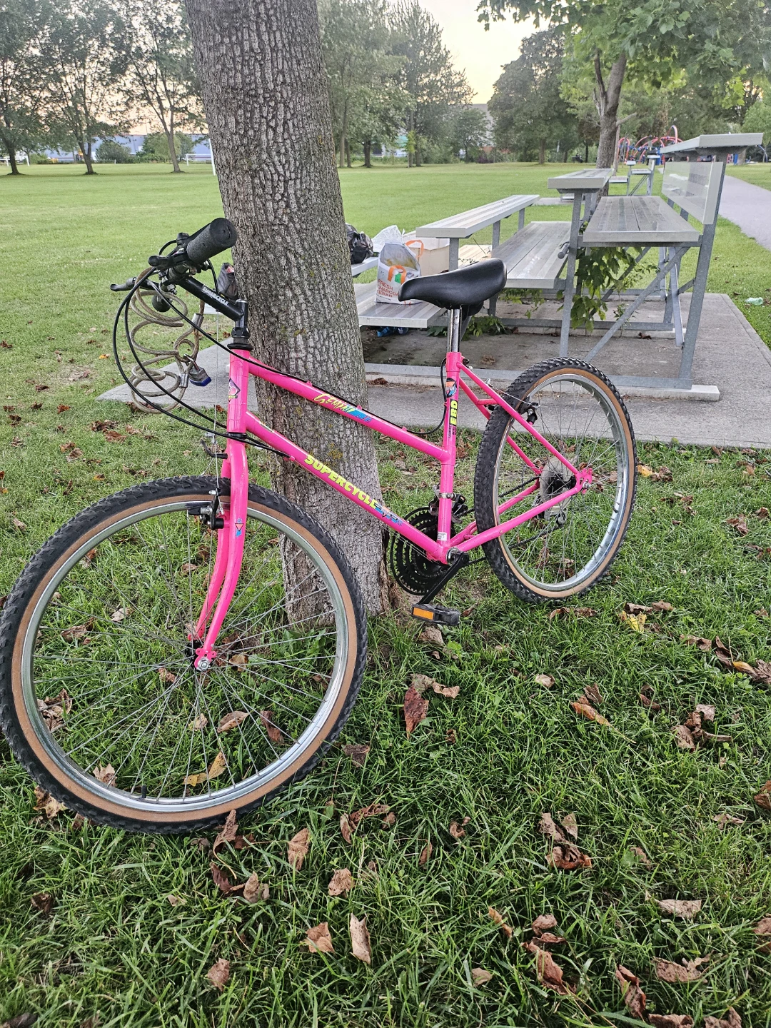 Diamondback SuperSport Pink Mountain Bike
