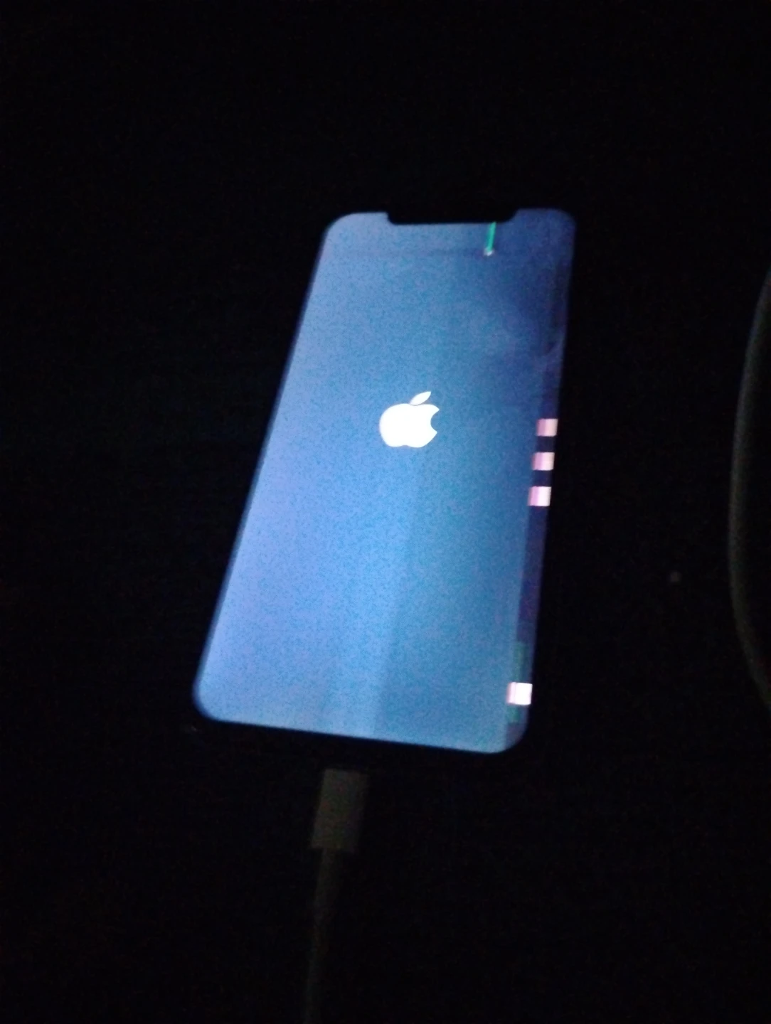 Apple iPhone 11 - photo 2