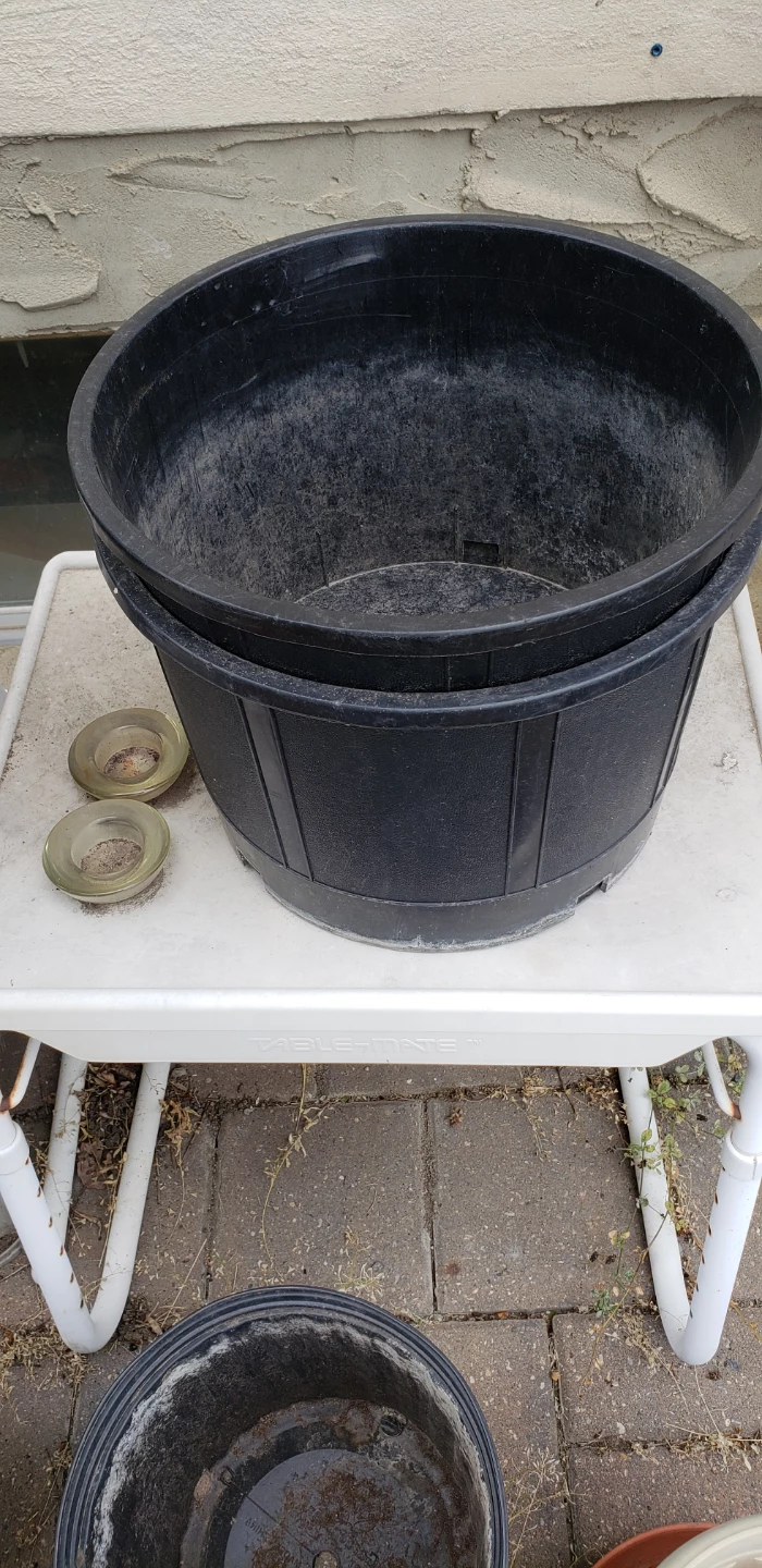6 Large Black Plastic Plant Pots $2 each