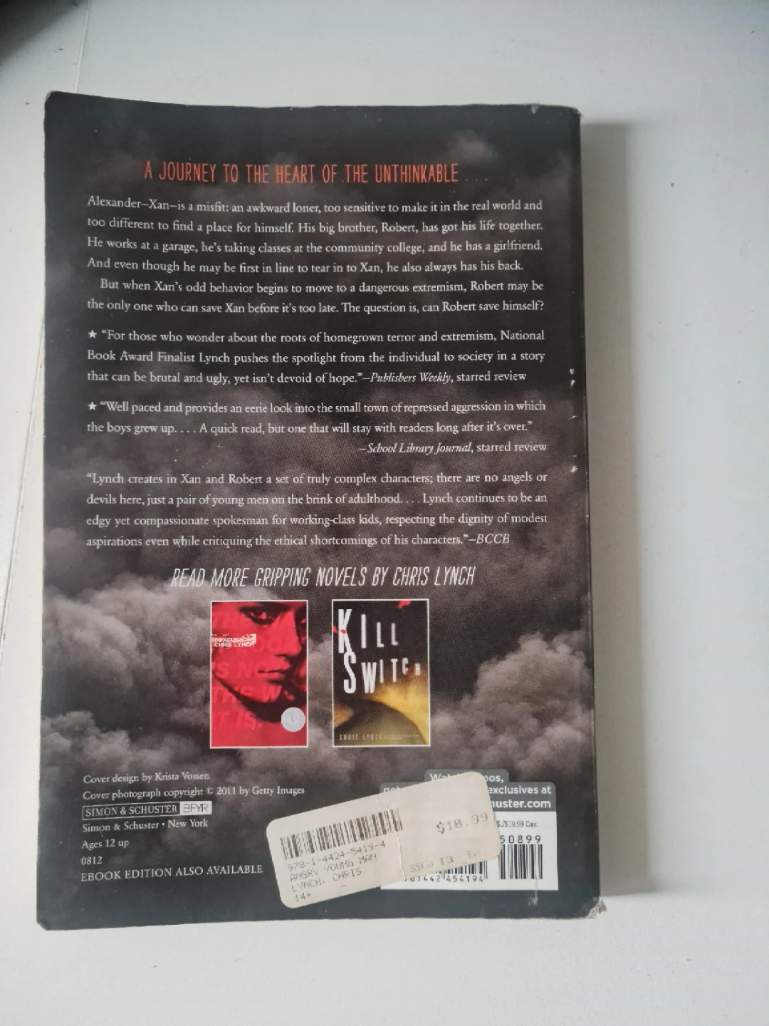 Free books - photo 4