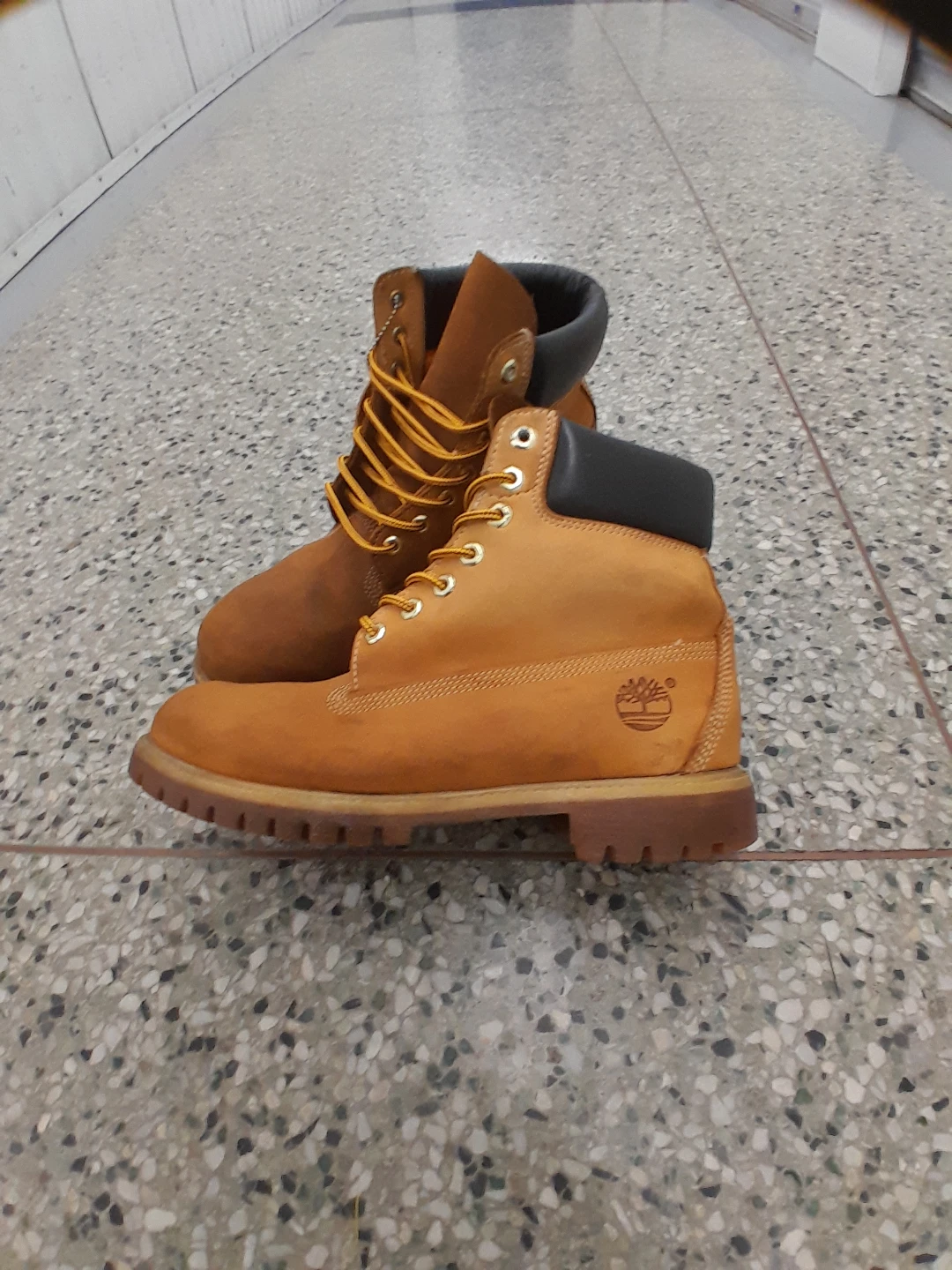 Timberland Women's classic 6" Premium Size 7