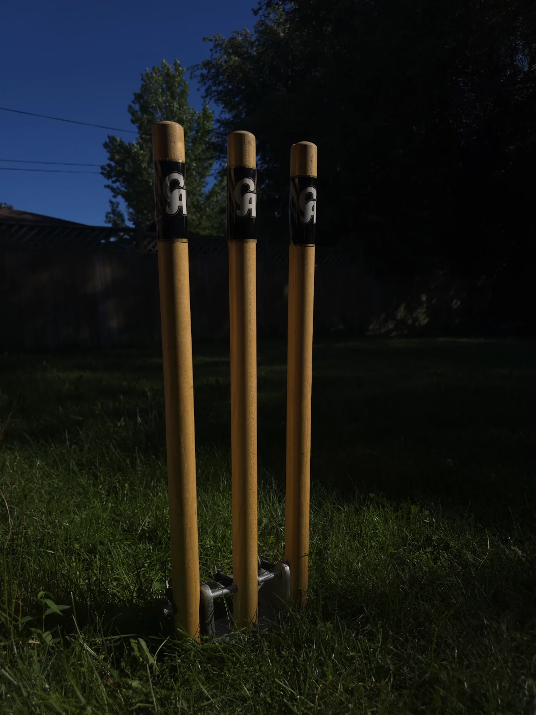 Cricket bats and stumps
