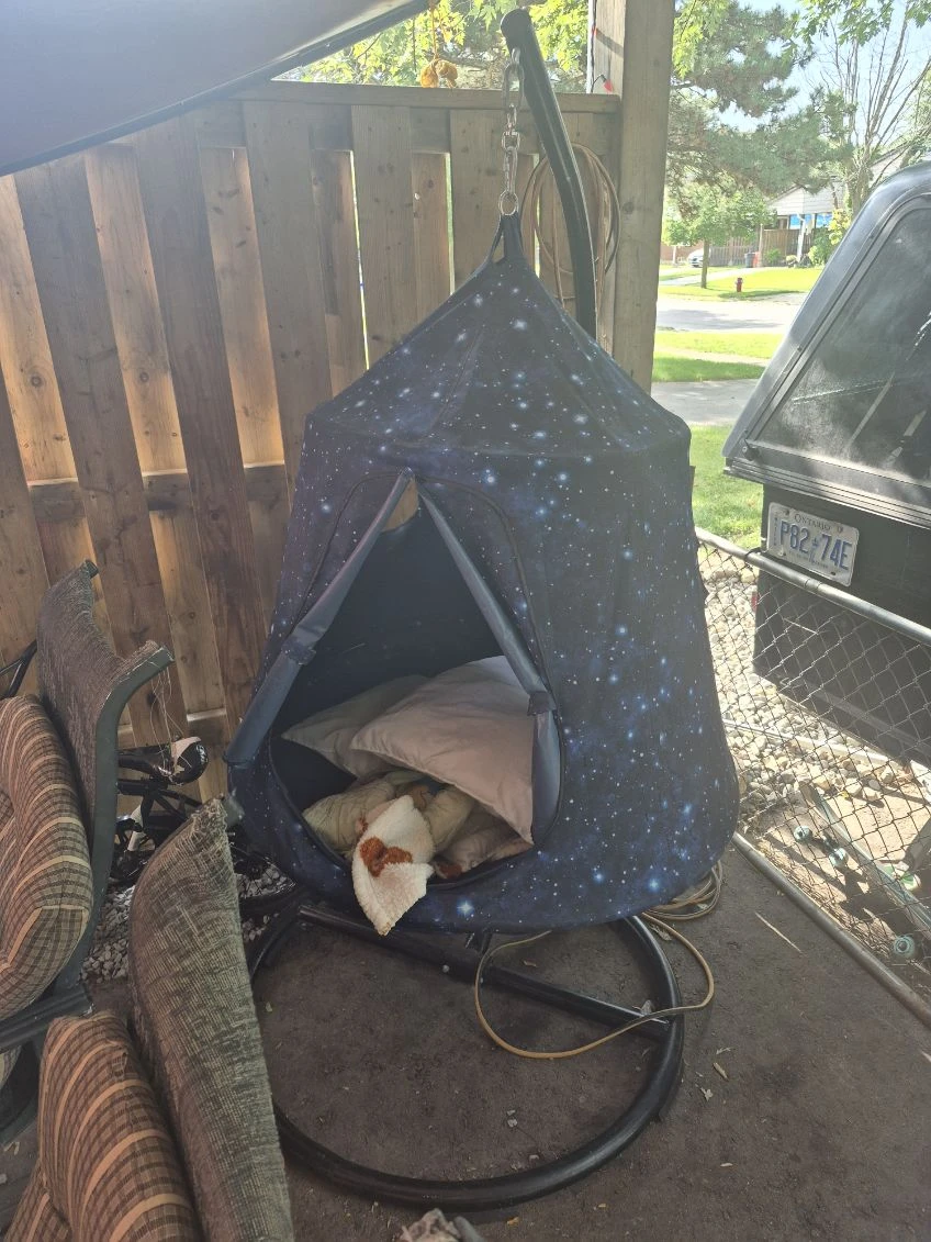 Hanging Tent Pod with Starry Night Design