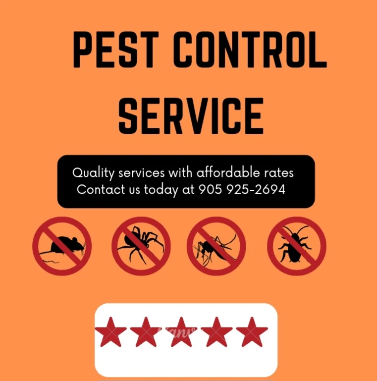 Pest Control Service Available