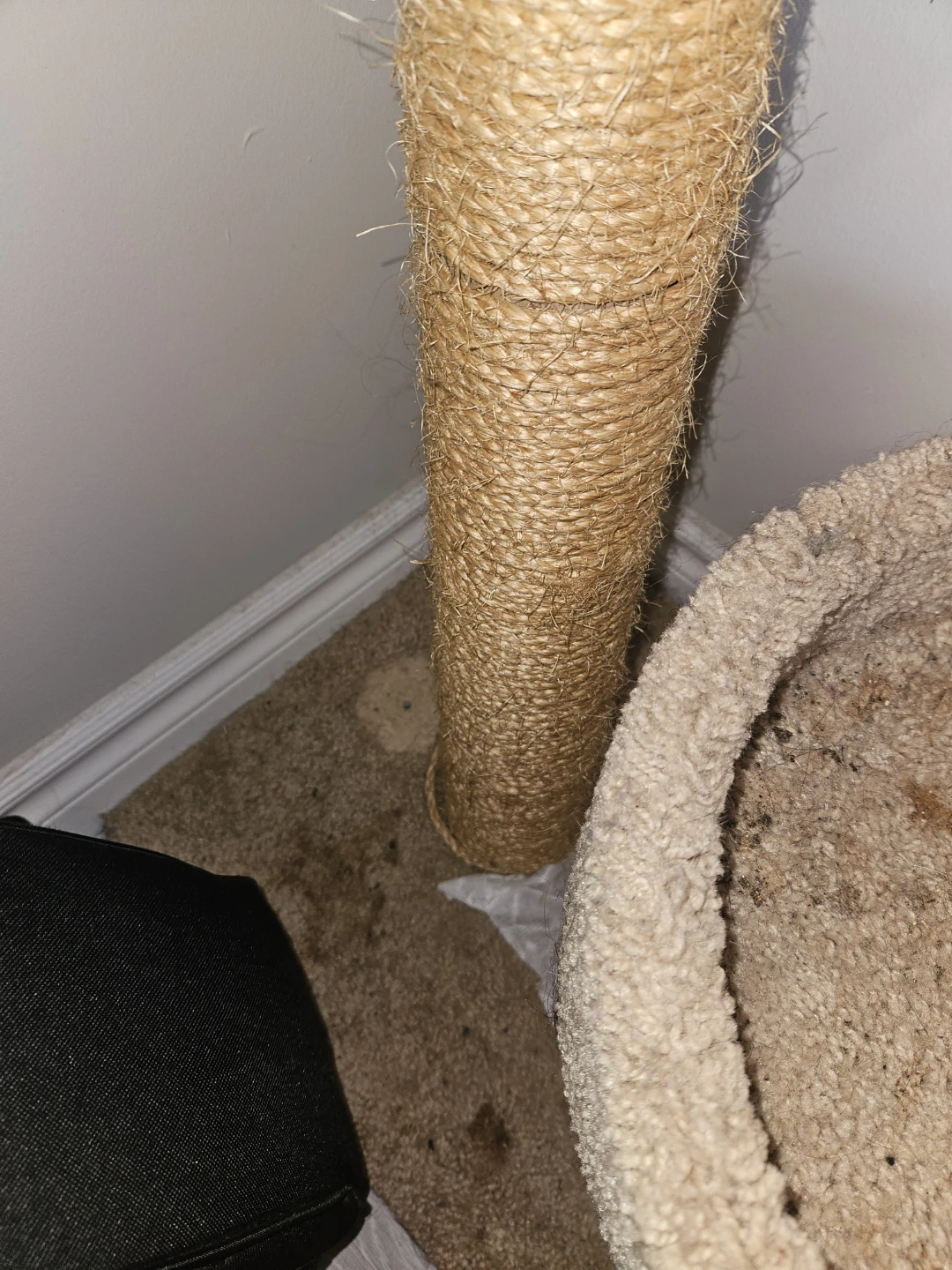 Cat Tree Scratcher Post