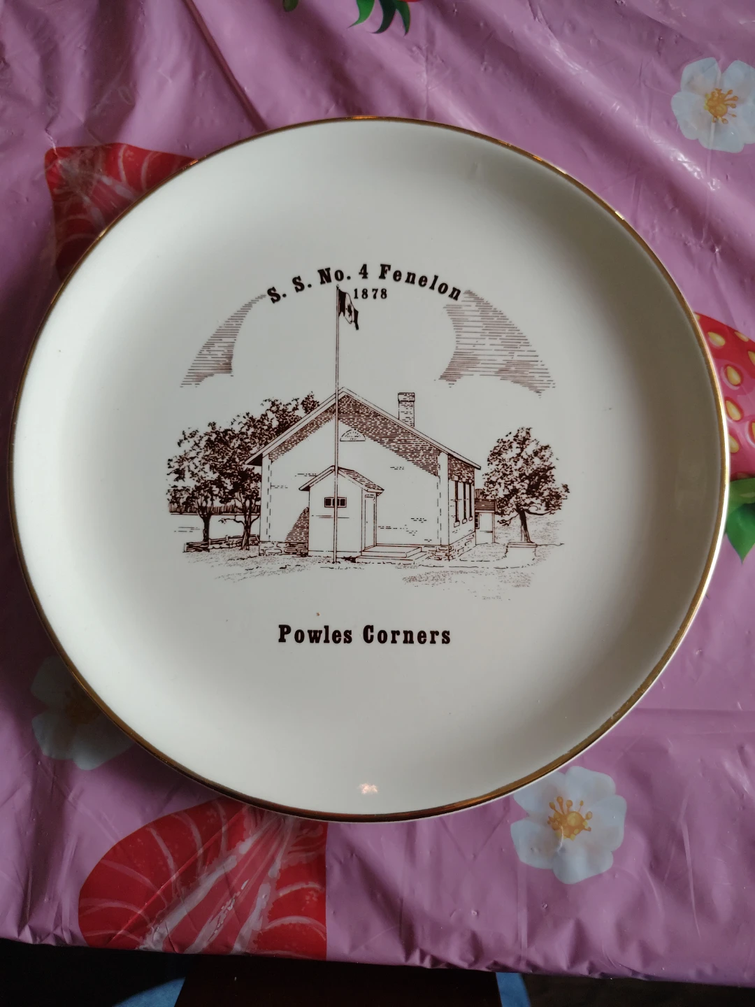Decorative Plate - S.S. No. 4 Fenelon 1878 Powles Corners