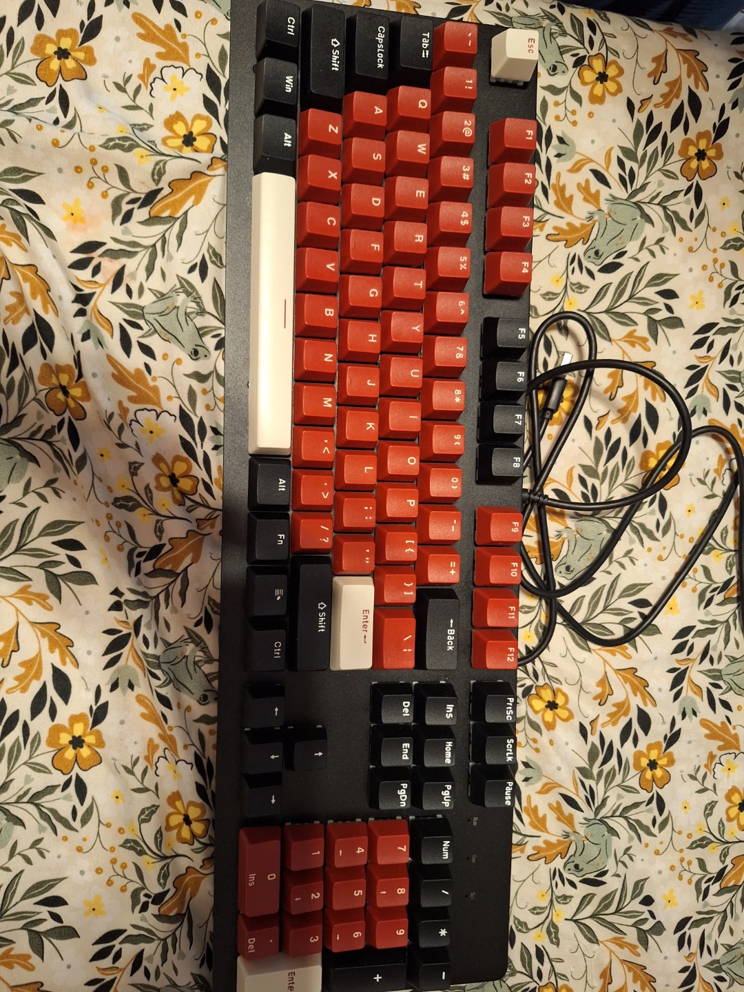 Mechanical Keyboard - Red and Black Keycaps