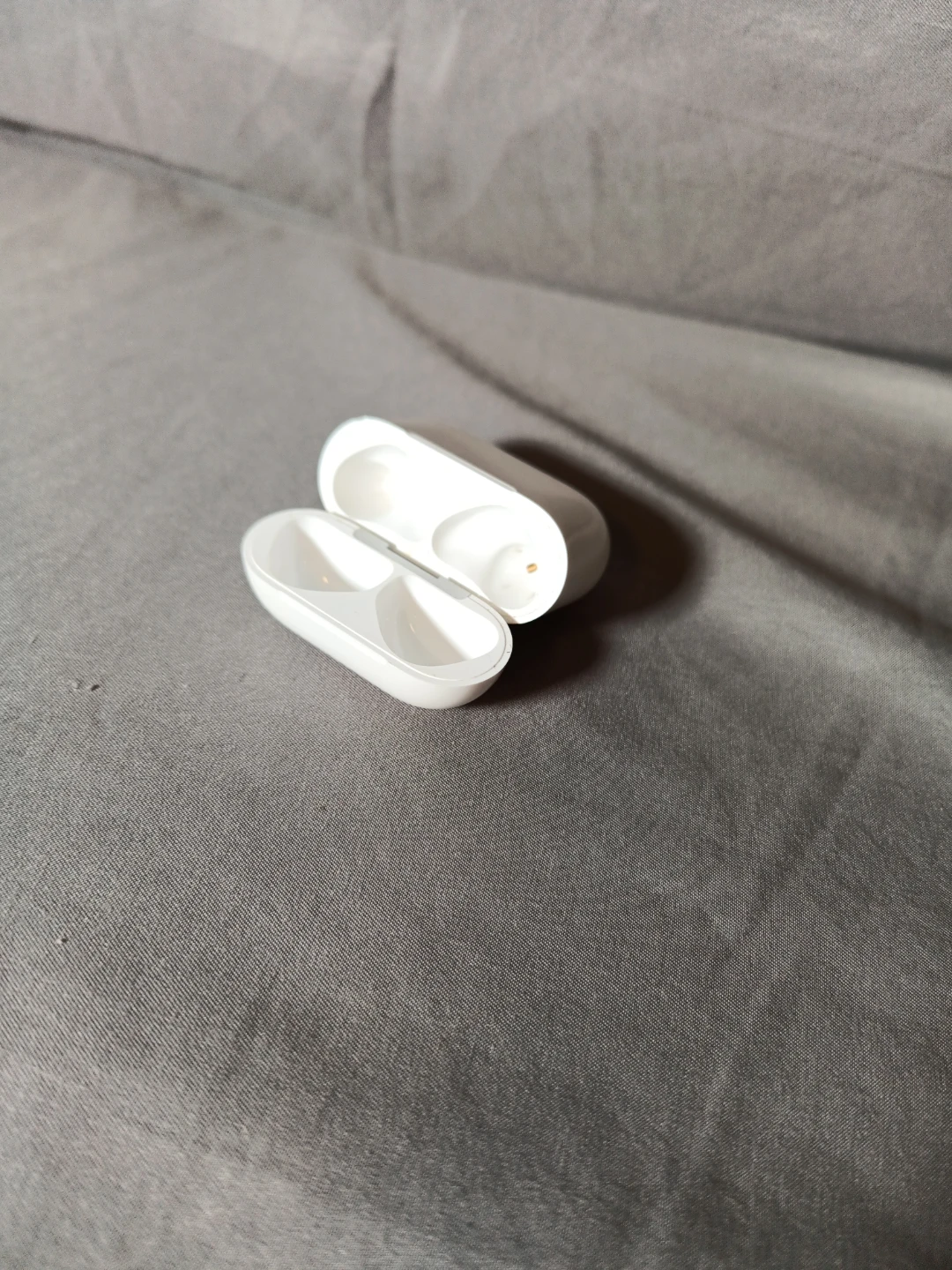 Apple AirPods Pro Charging Case
