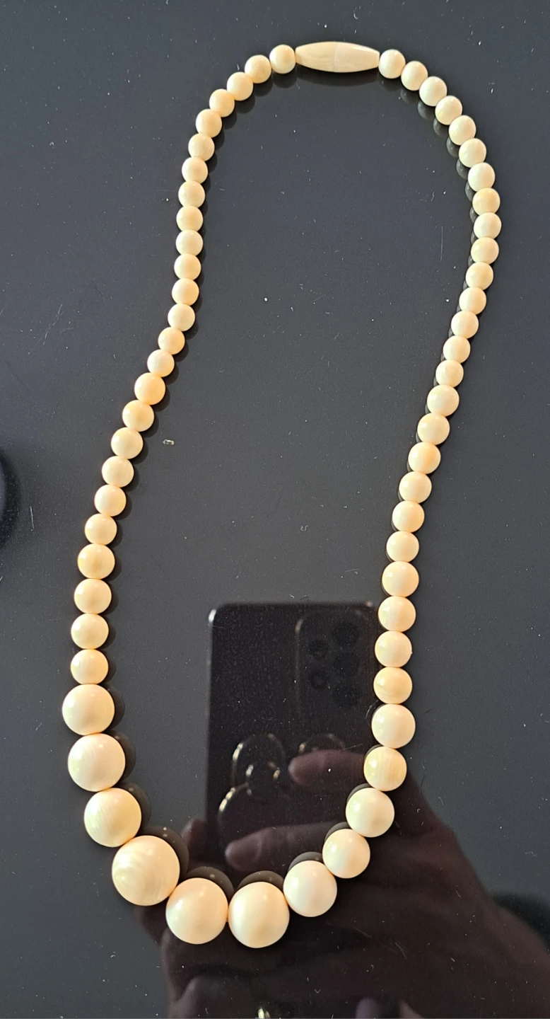 Bone Beaded Necklace with Clasp