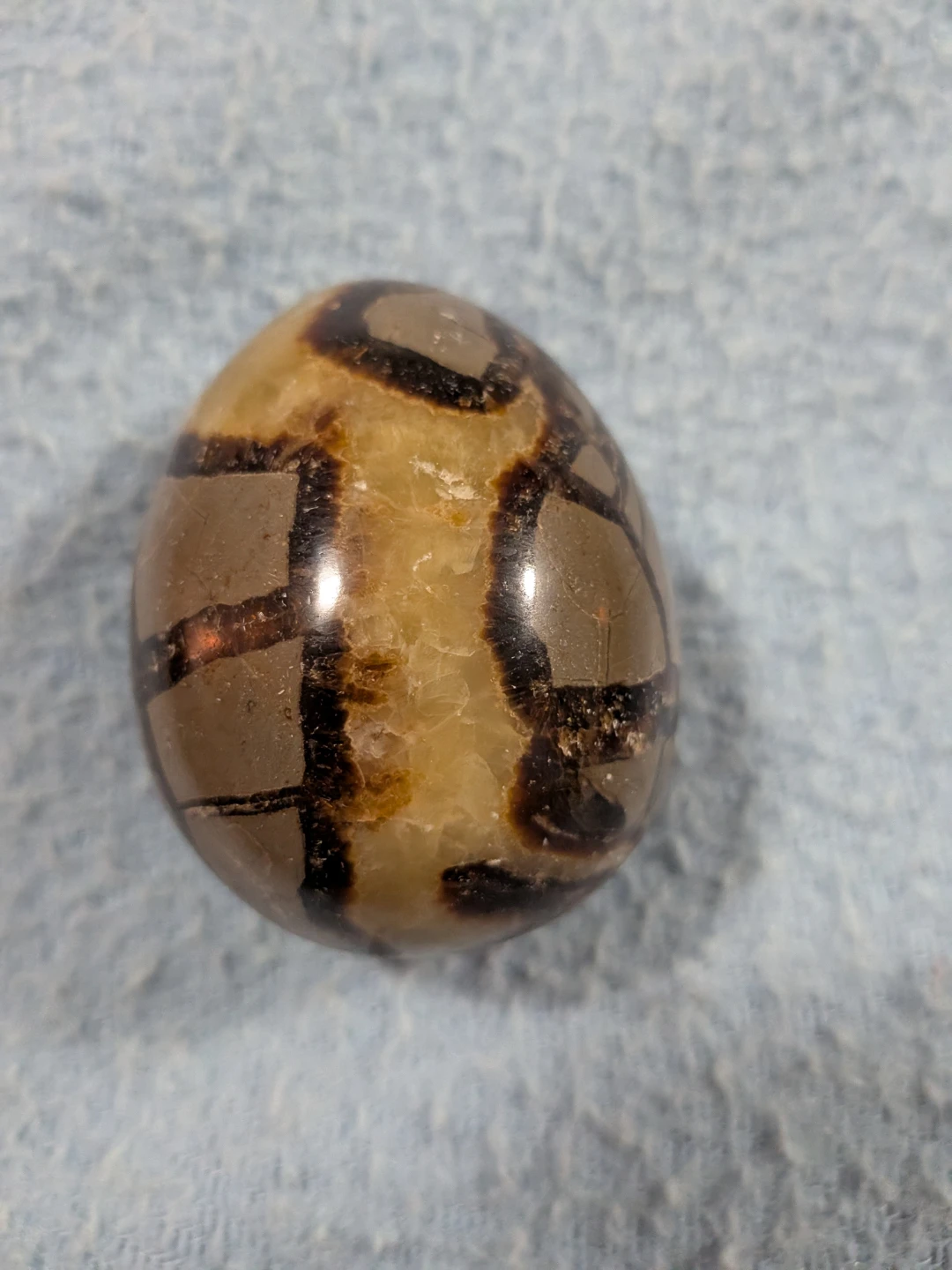 Polished Septarian Stone Egg.  300 grams. - photo 2