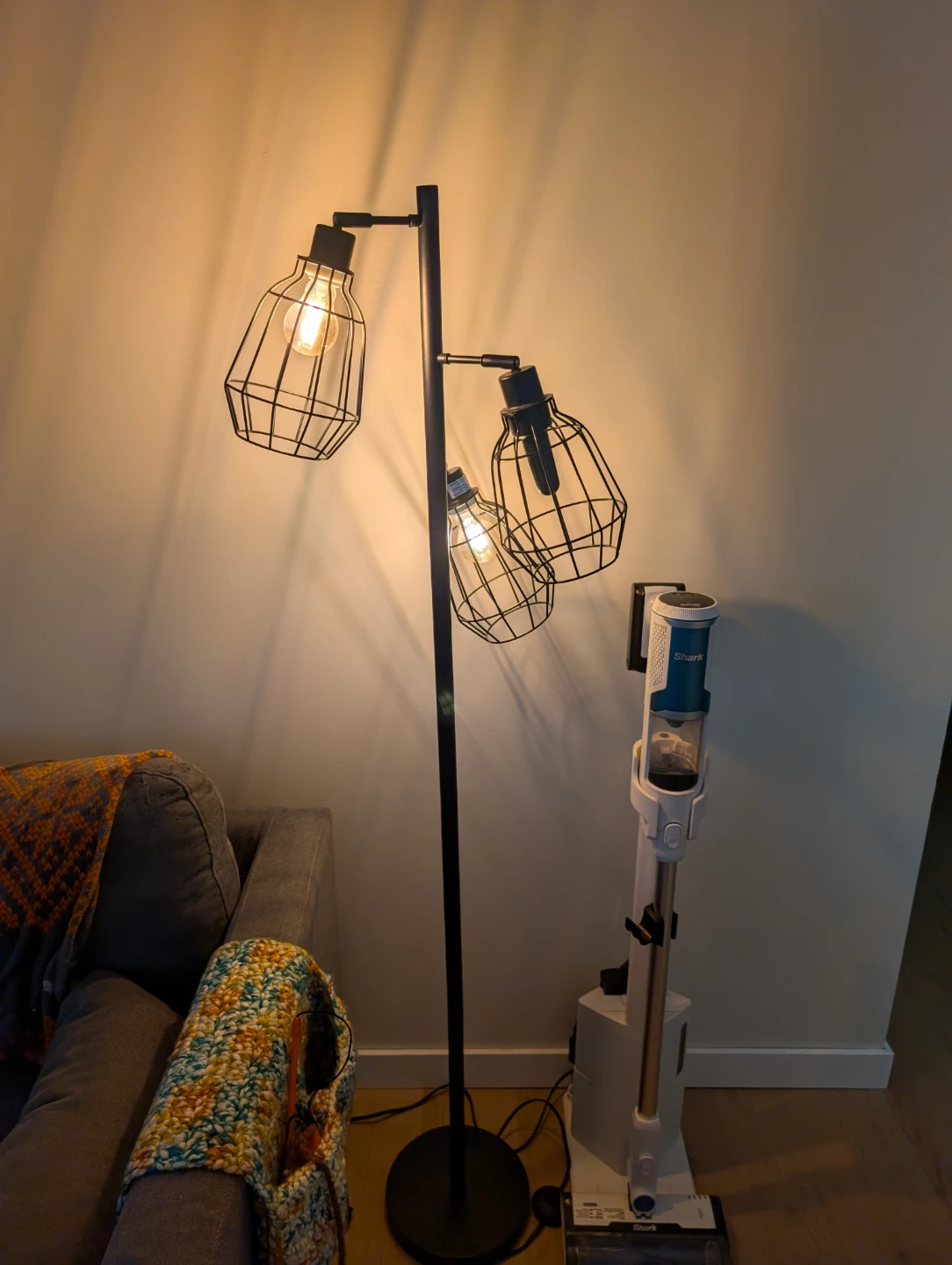 Black 3-Light Floor Lamp with Cage Shades