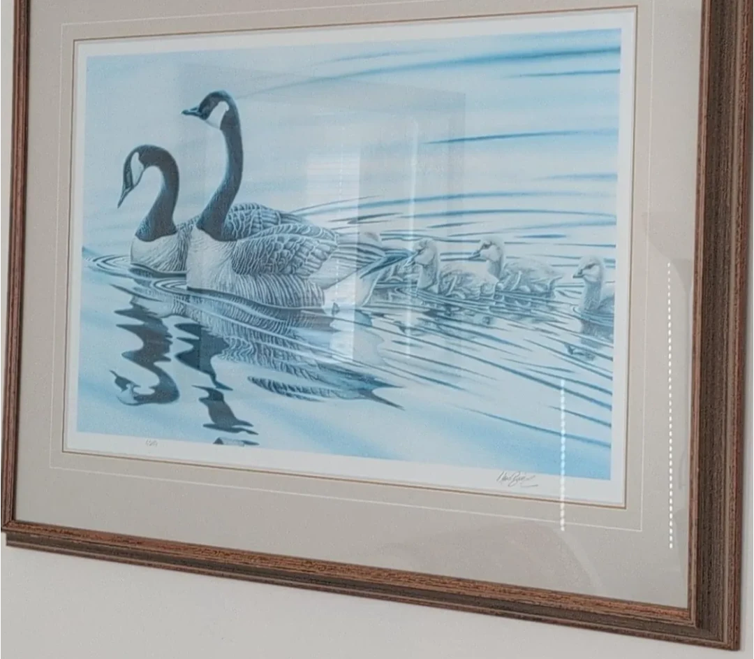 Framed Art Print - Geese in Blue Tones