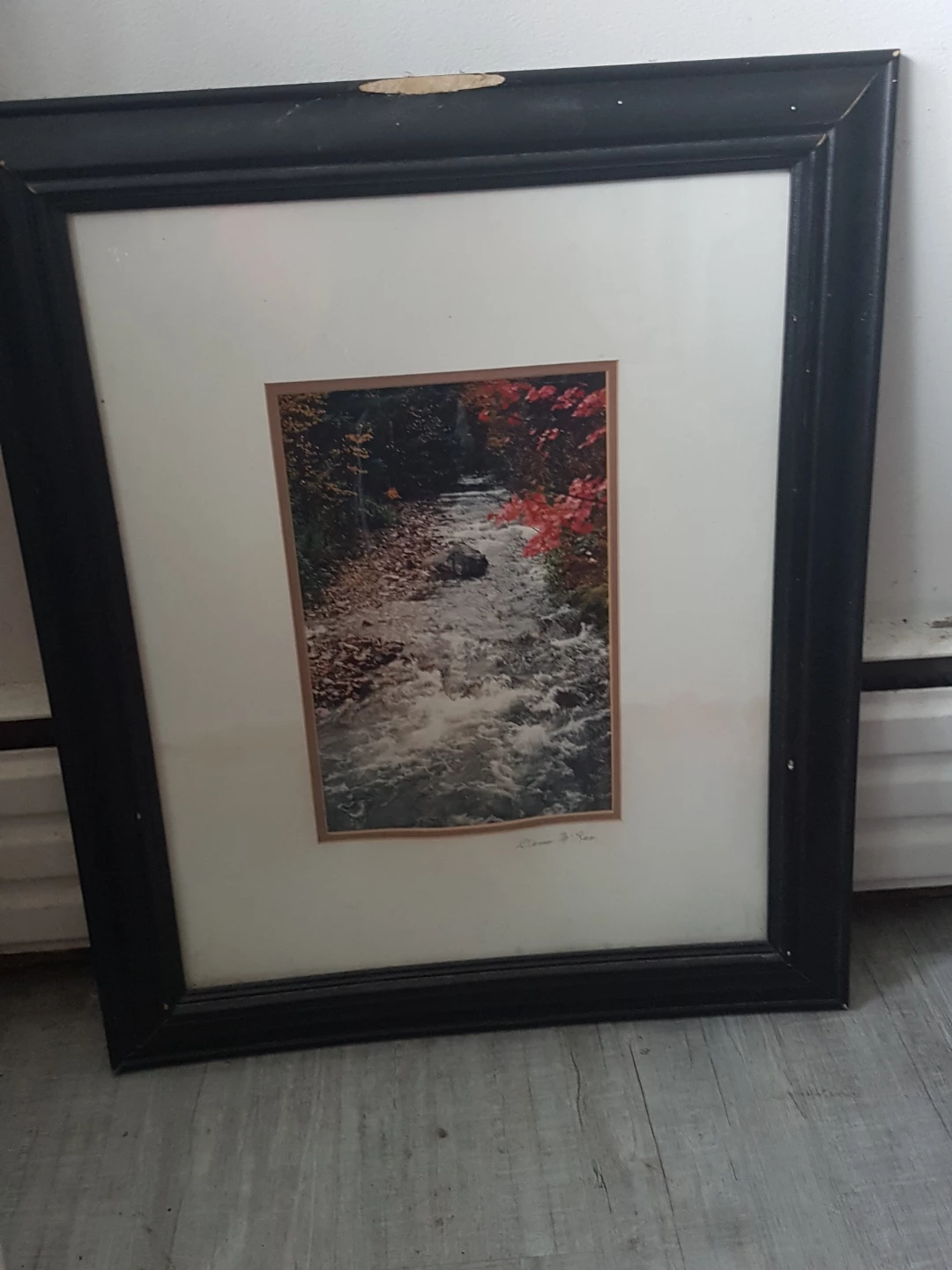 Framed Art Print - River Scene