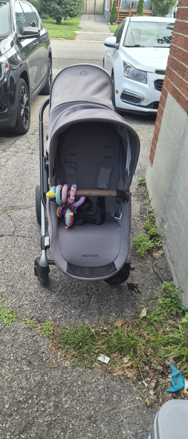 Maxi-Cosi Stroller System with Bassinet and Car Seat - photo 3