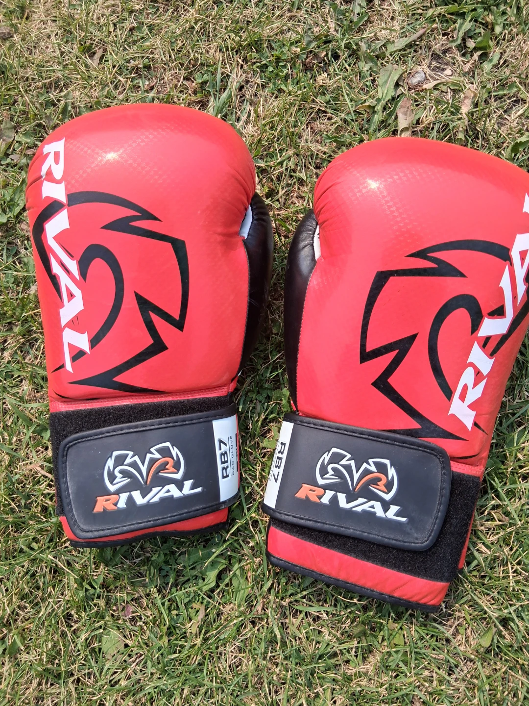 Rival RB7 Boxing Gloves