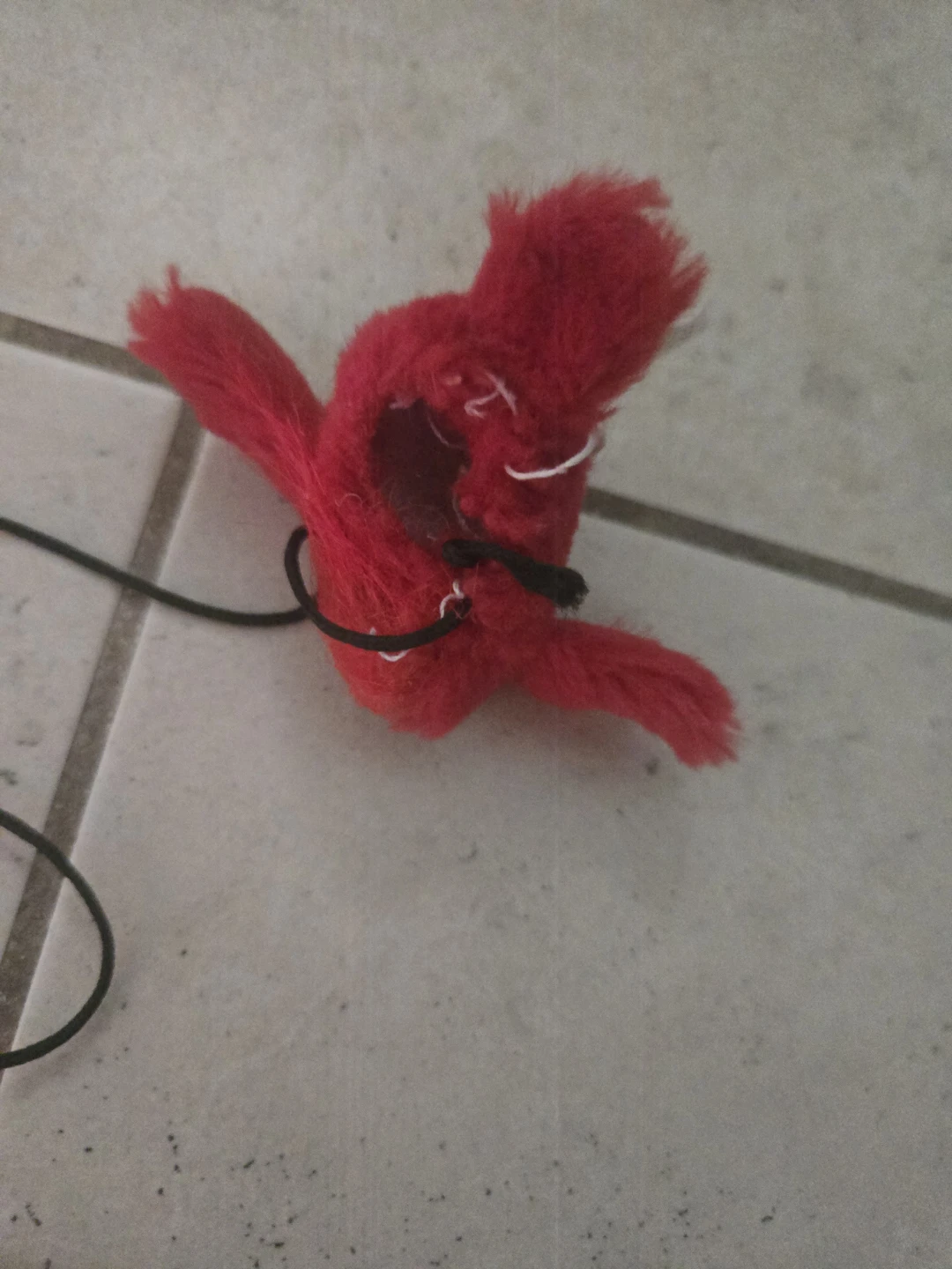 SPOT Pet Bird Cat Toy 🏆 - photo 3