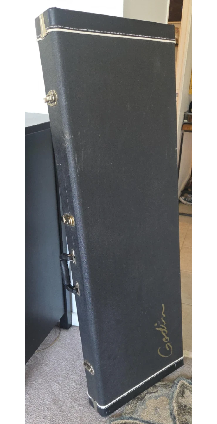 Godin Guitar Case