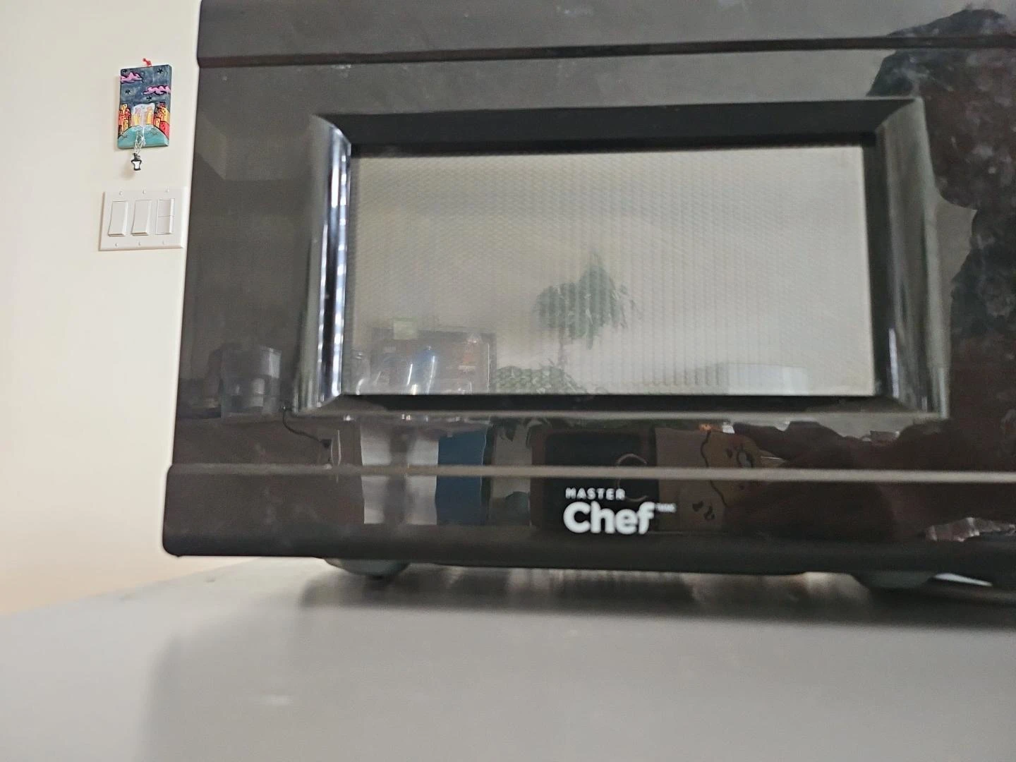 Master Chef Microwave Oven - photo 4