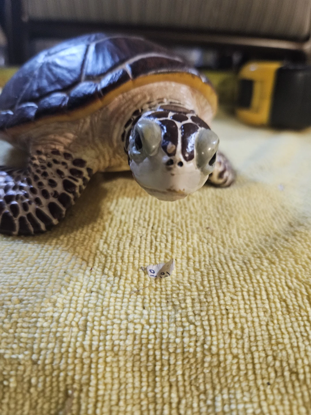 Ceramic Turtle Figurine - photo 5