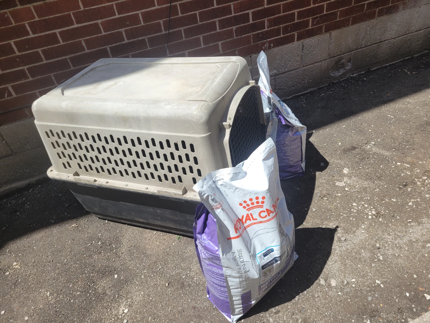 Royal Canin Mature Consult Dog Food (Medium Dog) - photo 3