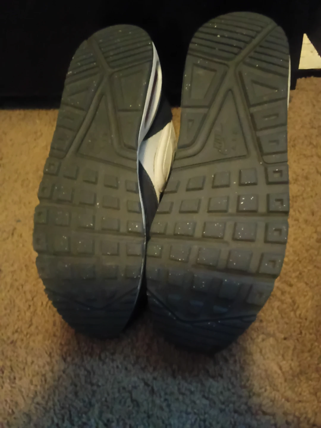 Nike Air Max Sneakers