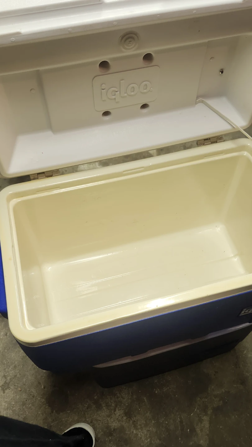 2, Igloo 40 Qt Cooler - photo 3