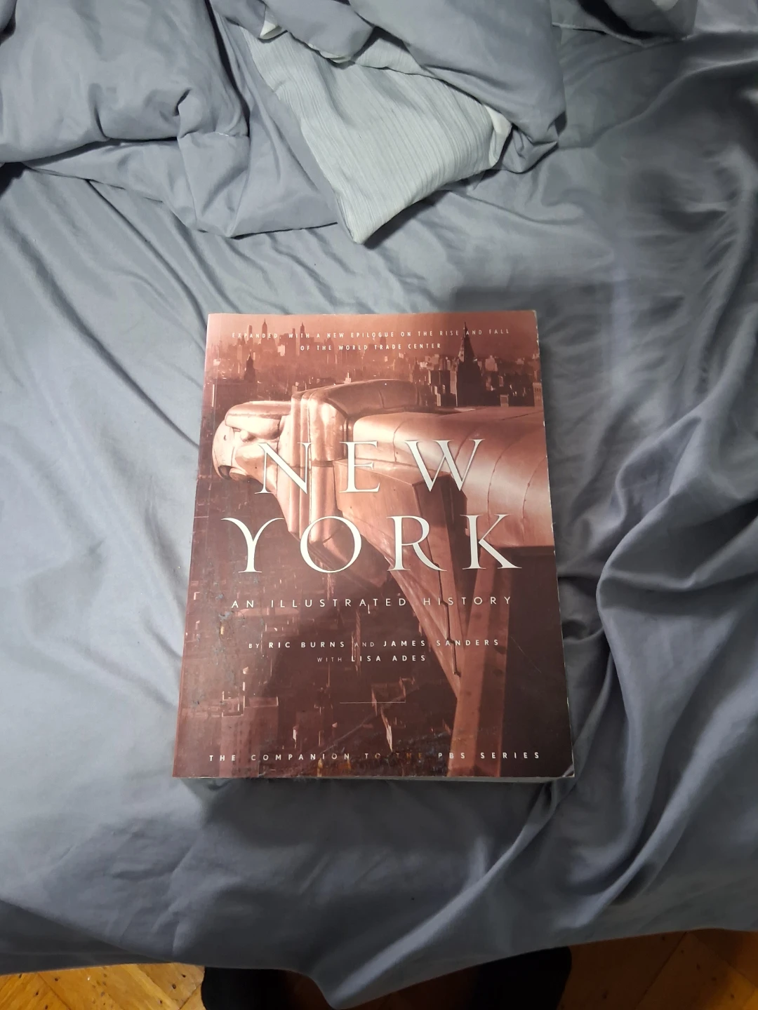 New York An Illustrated History Book