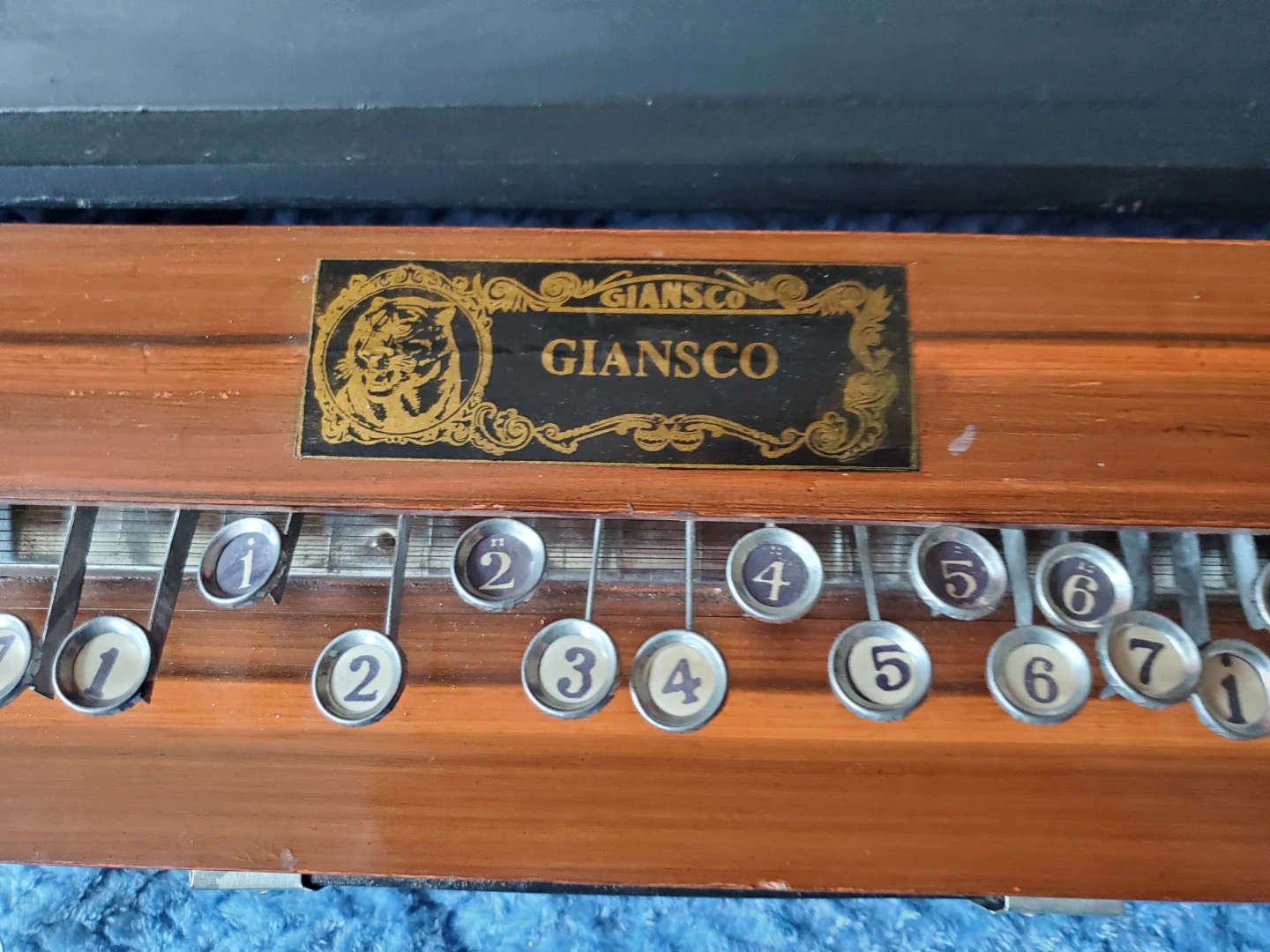 Antique Gianasco Bulbul Tarang (Indian Banjo or zither) - photo 2