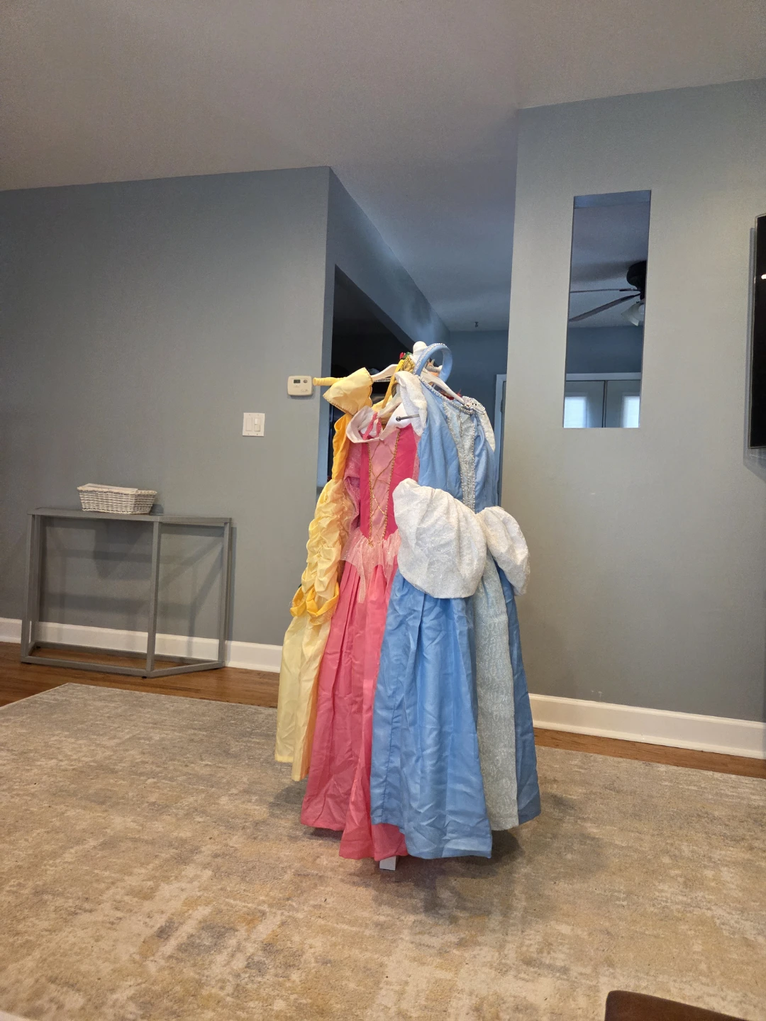 Girls Princess Costume Dress Set