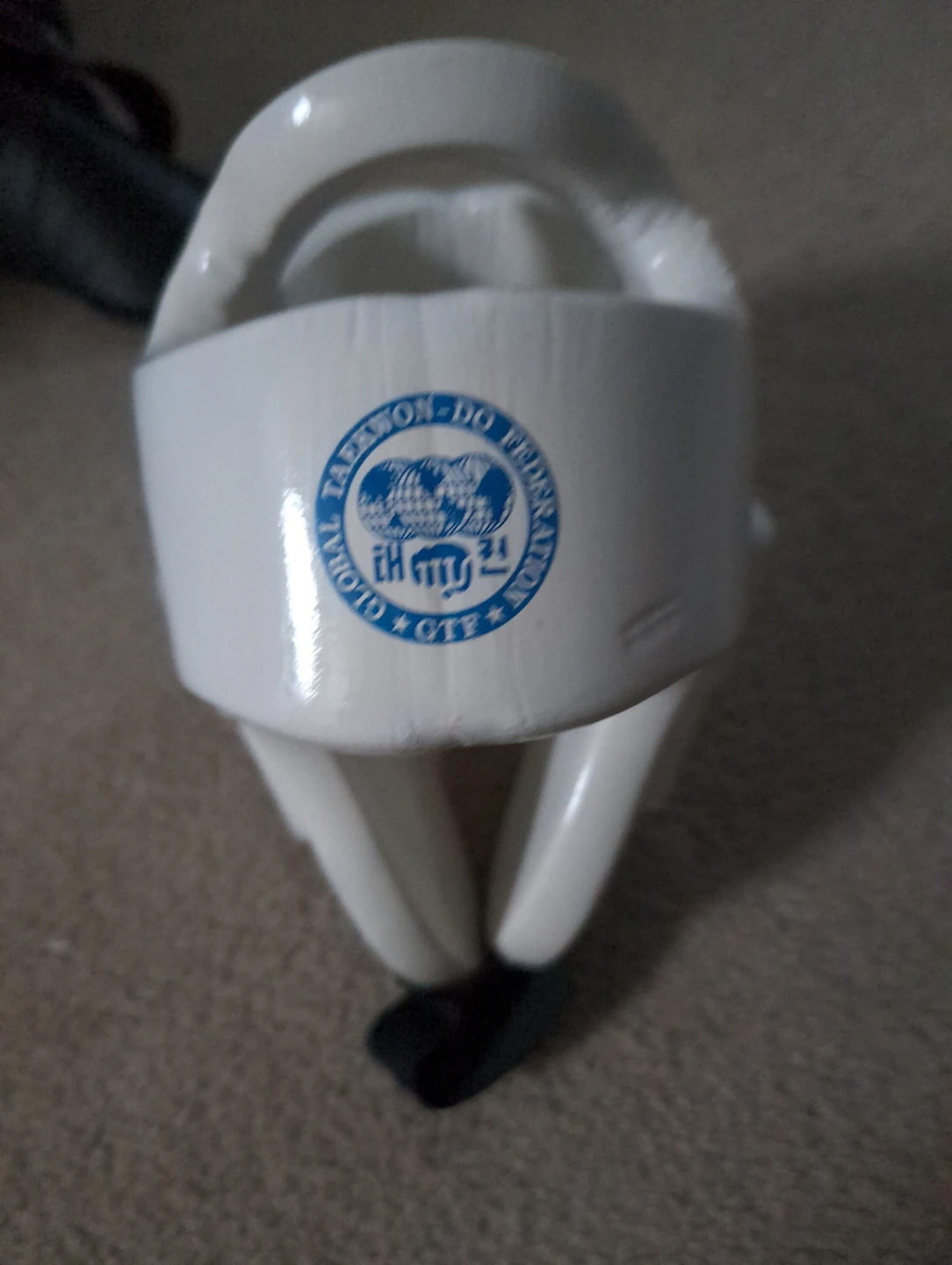 Budo World Taekwondo Sparring Gear Set kids large - photo 5