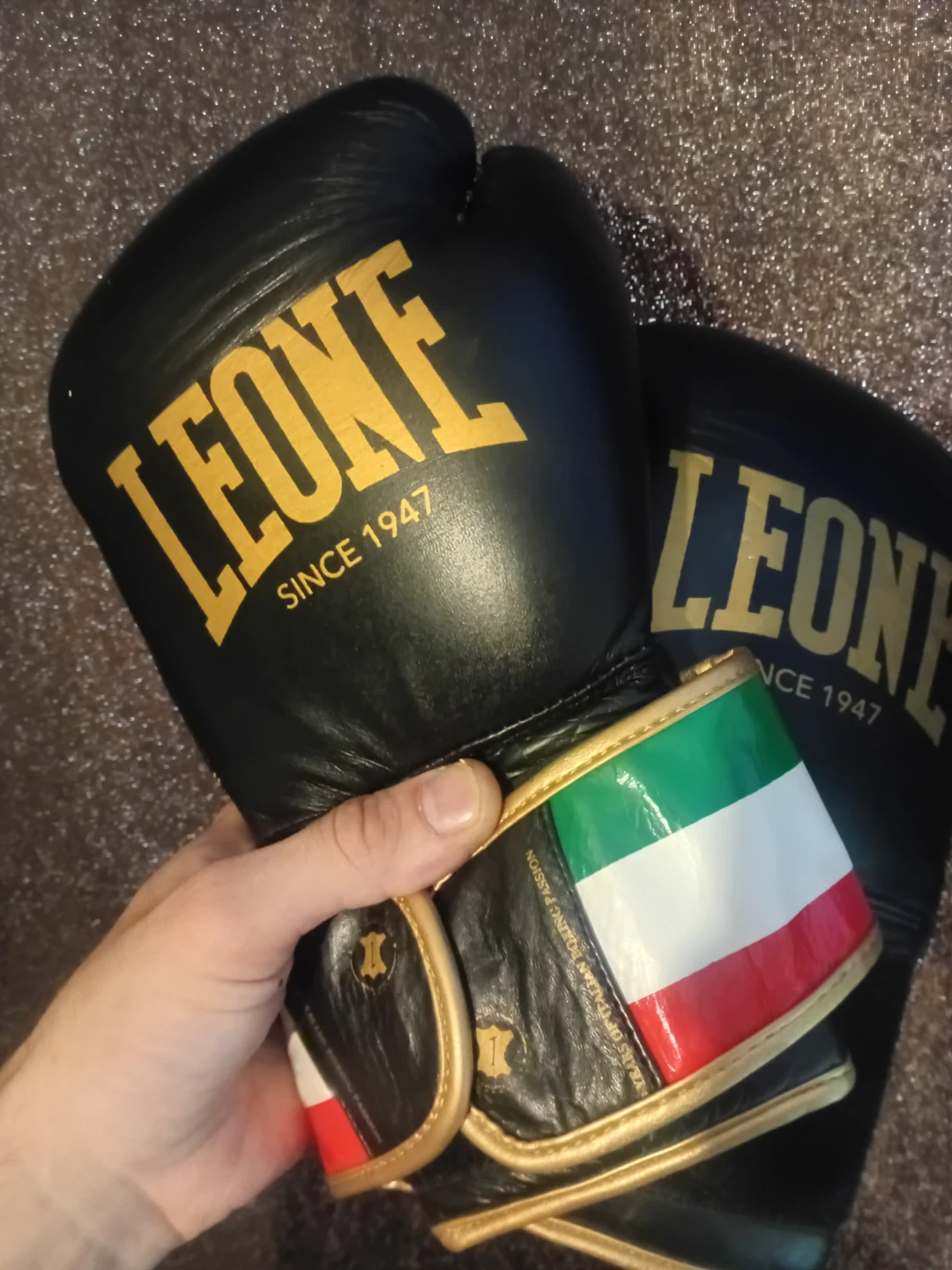 Leone Boxing Gloves 10 oz