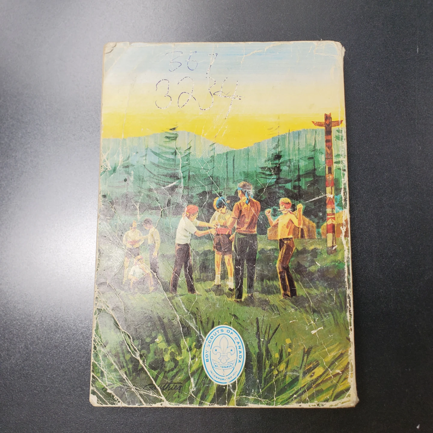 The Cub Book - A Book of Things to Do for Boys 8 to 10 - photo 2