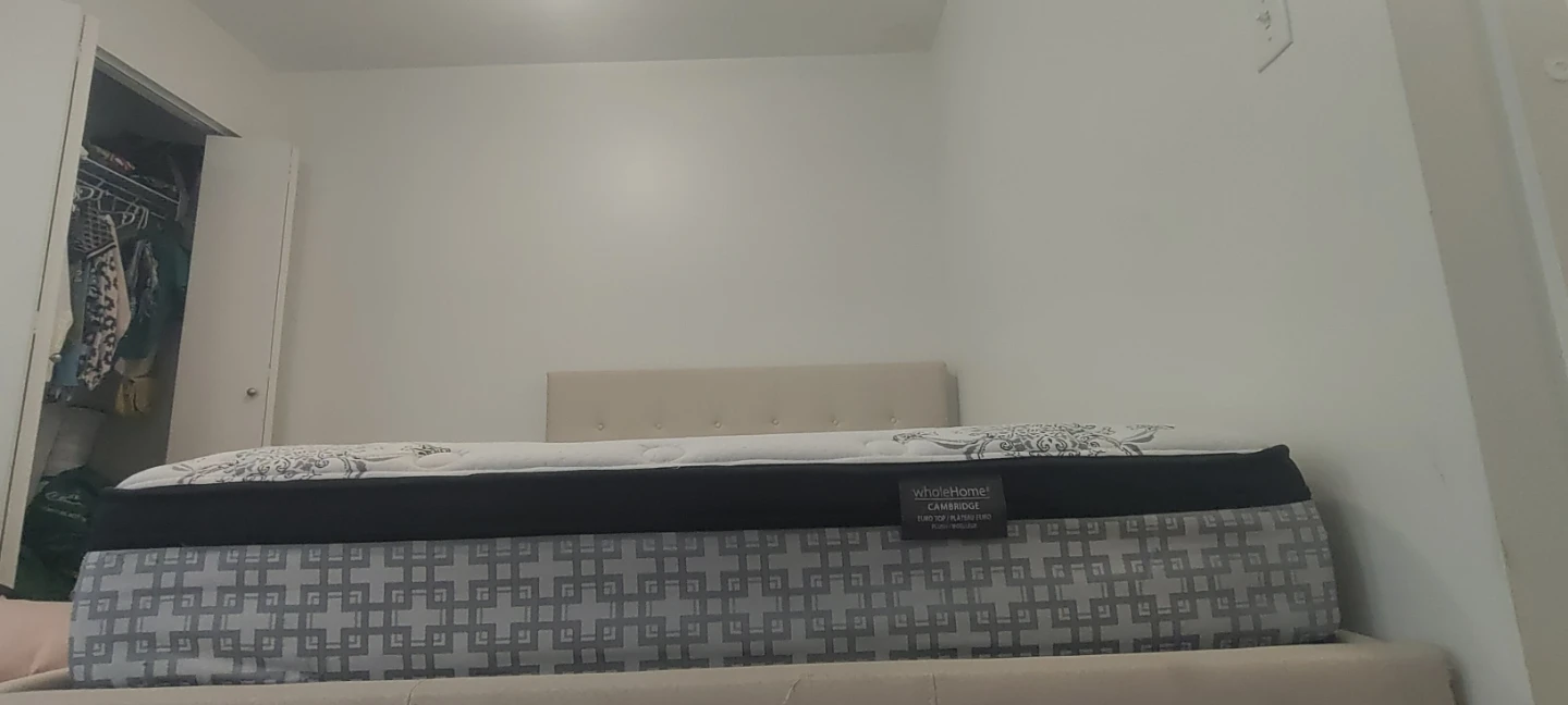 WholeHome Cambridge Mattress