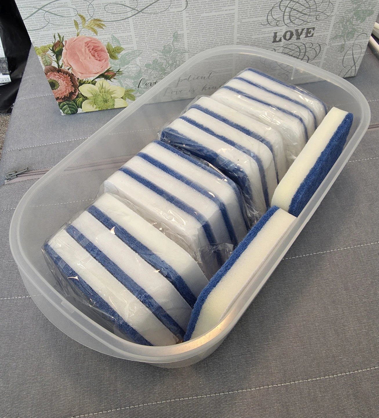 14 Scrub Sponges & free container
