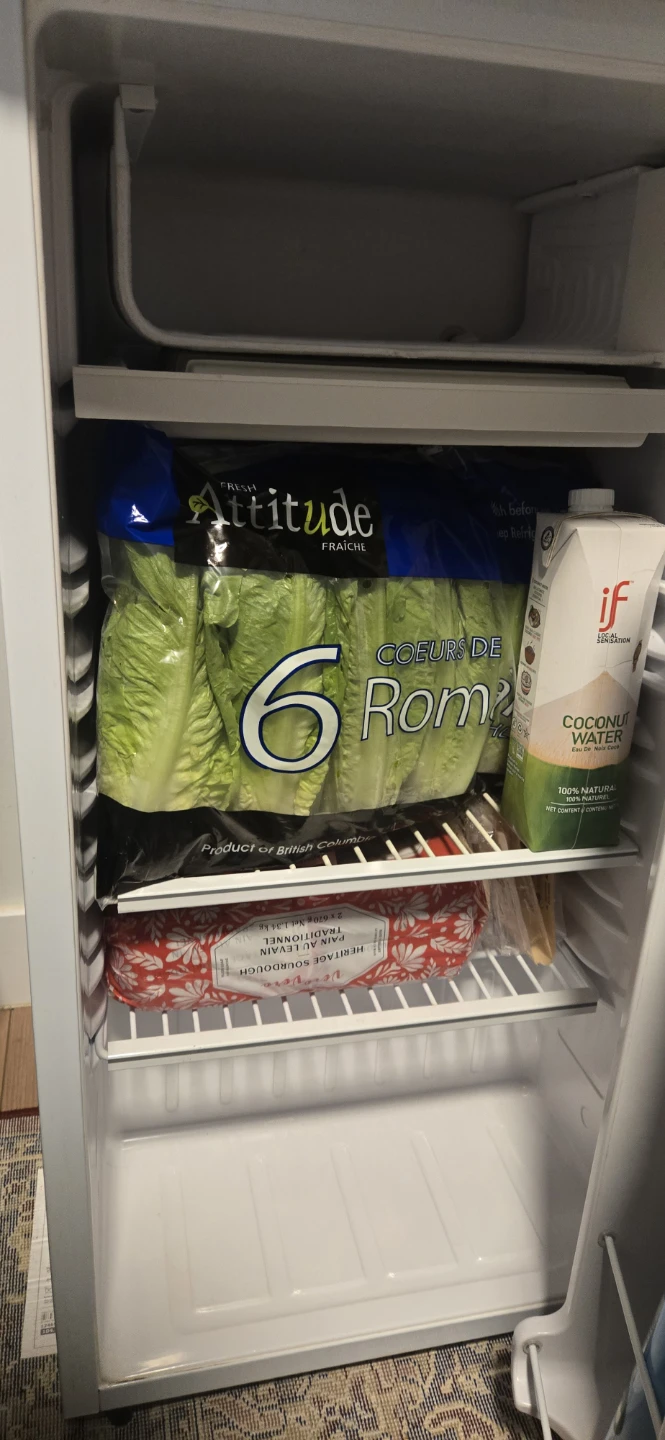 Danby Mini Fridge - photo 4