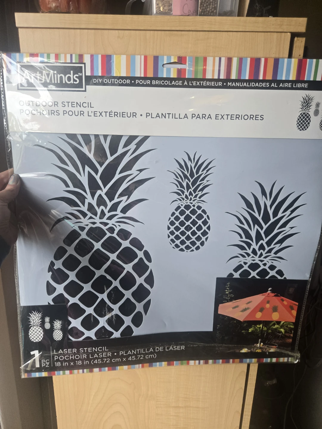 ArtMinds Outdoor Pineapple Stencil
