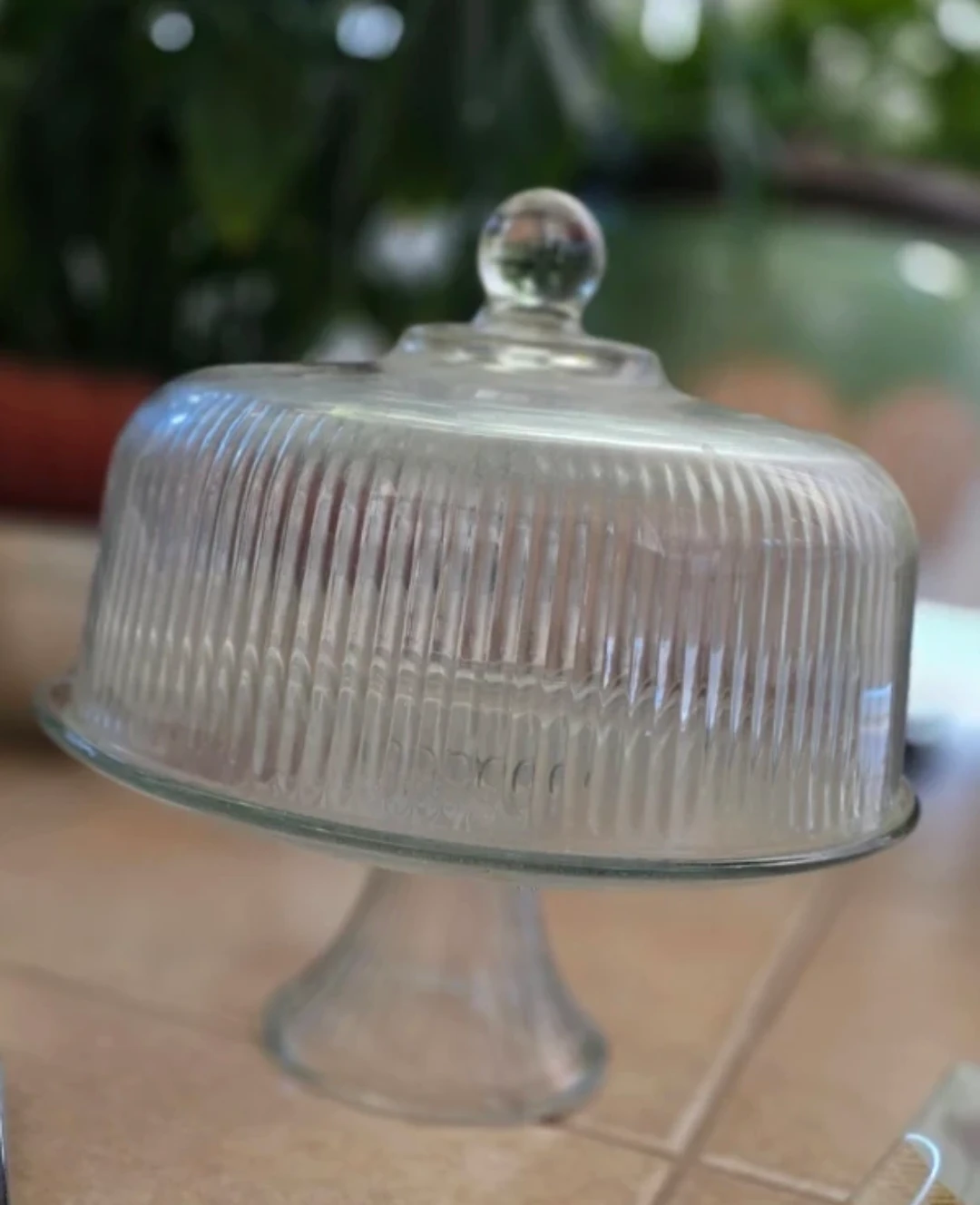 Glass Cake Stand with Dome