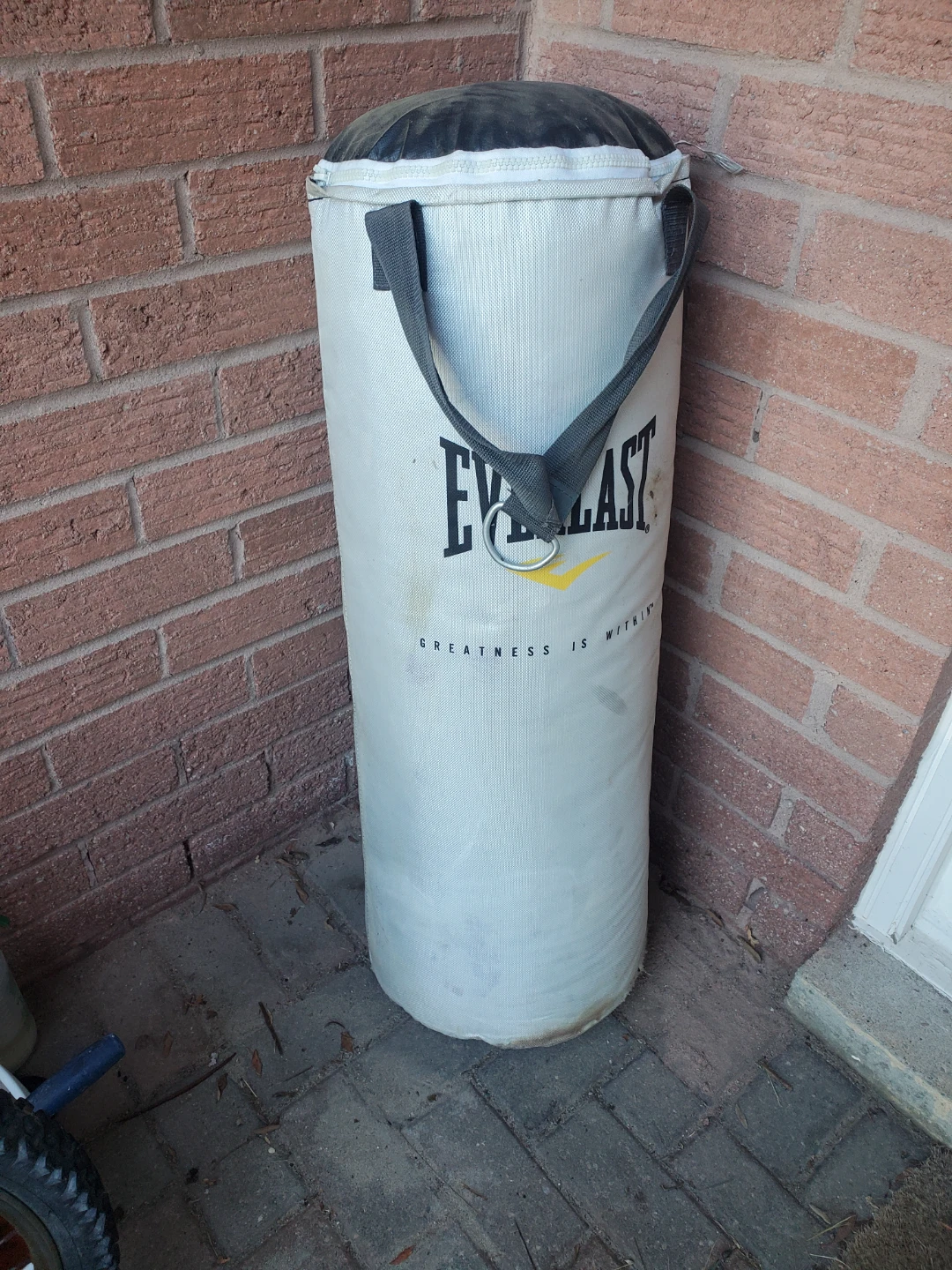 Everlast Punching Bag