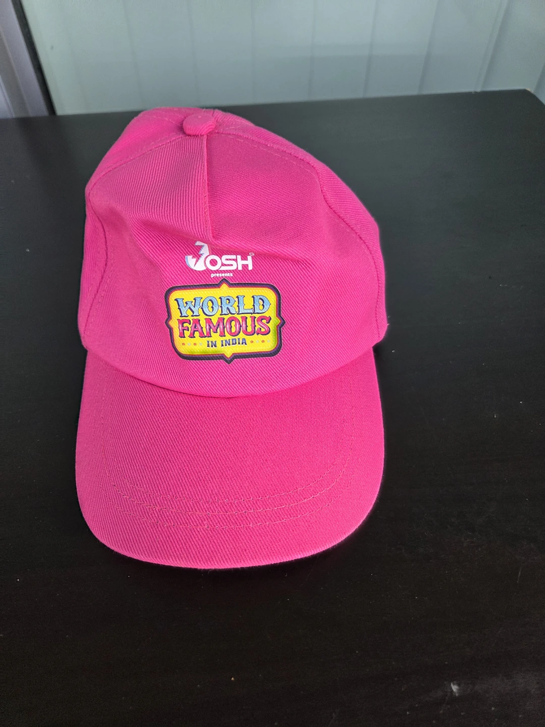 Pink Josh Presents World Famous in India Baseball Cap - photo 3