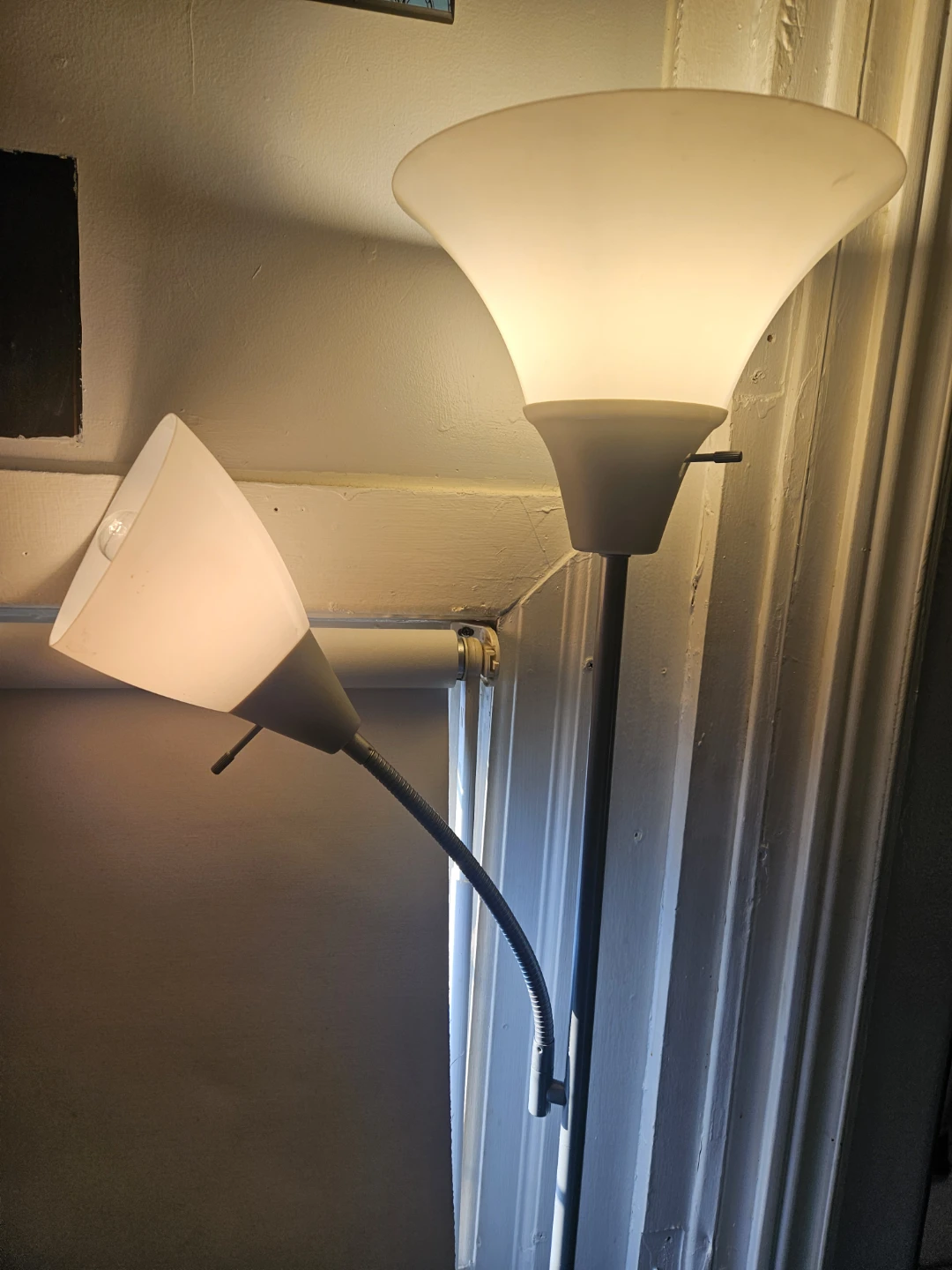 Adjustable Floor Lamp